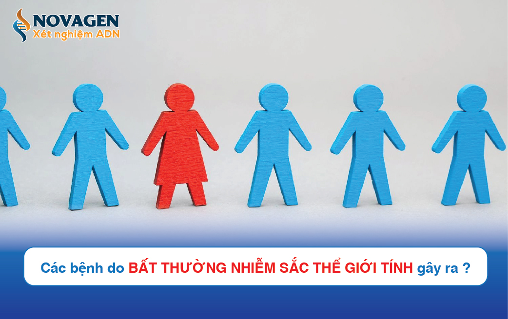 Tổng Hợp 4 Bệnh Phổ Biến Do Bất Thường Nhiễm Sắc Thể Giới Tính