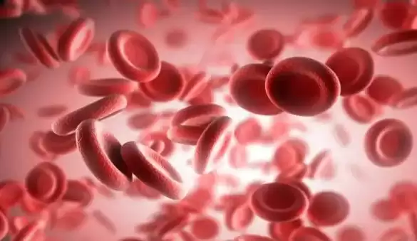 Tổng Quan Về Tế Bào Máu Ở Người