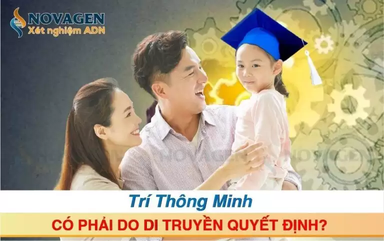 Trí Thông Minh Có Phải Do Di Truyền Quyết Định?