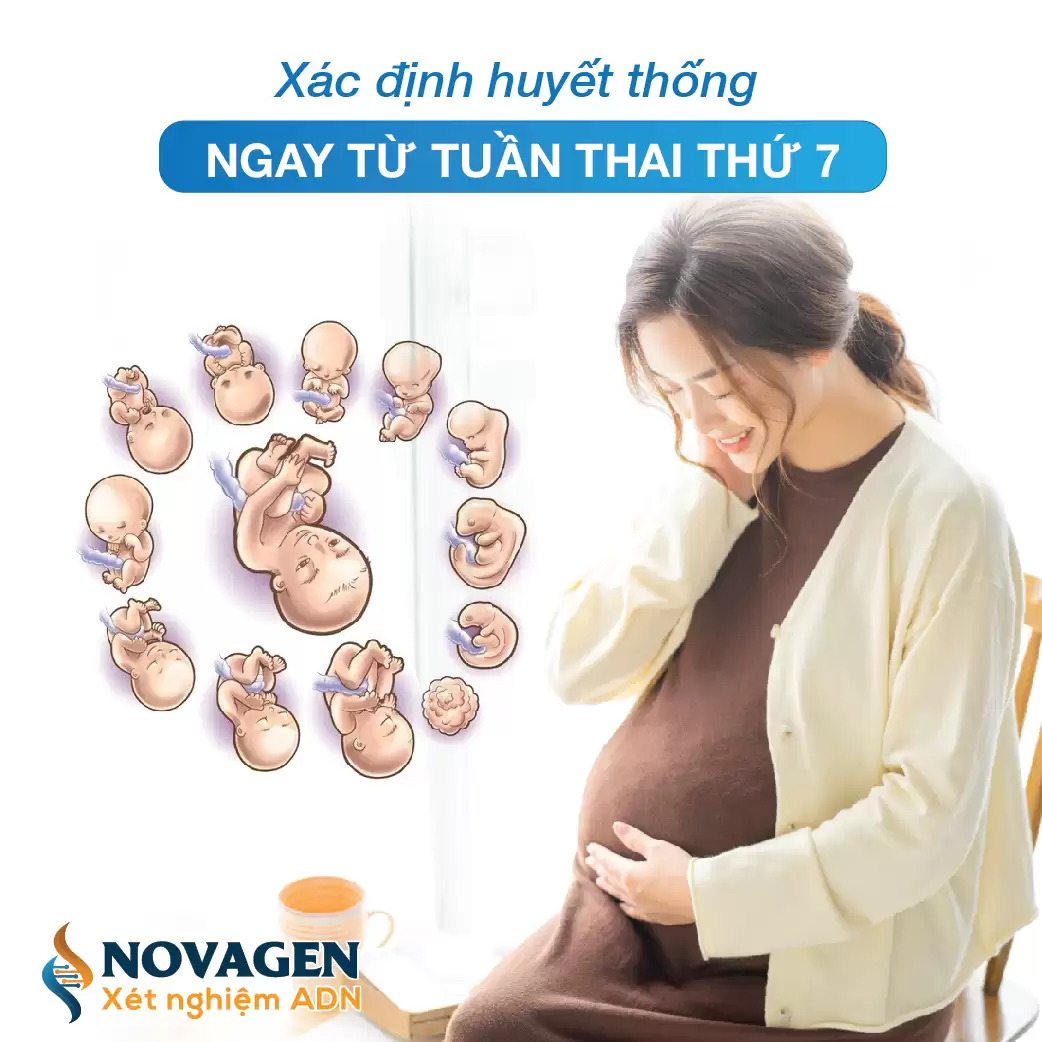 xét nghiệm ADN thai nhi không xâm lấn từ tuần 7