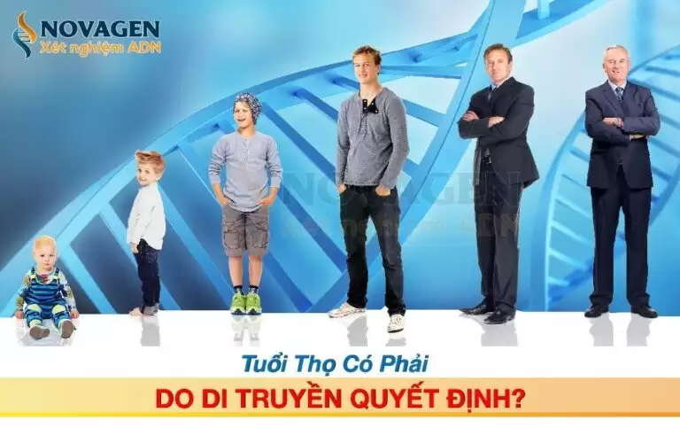 Tuổi Thọ Có Phải Do Di Truyền Quyết Định?