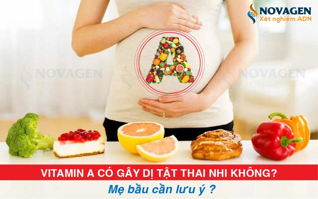 Vitamin A Có Gây Dị Tật Thai Nhi Không? Mẹ Bầu Cần Lưu Ý