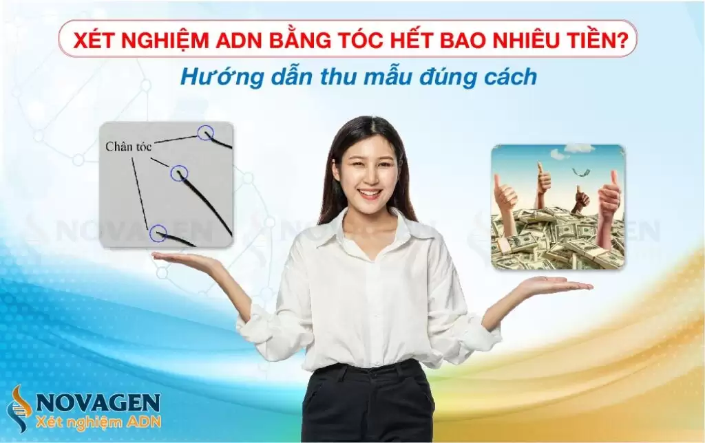 Xét Nghiệm ADN Bằng Tóc Bao Nhiêu Tiền? Hướng Dẫn Thu Mẫu Đúng Cách