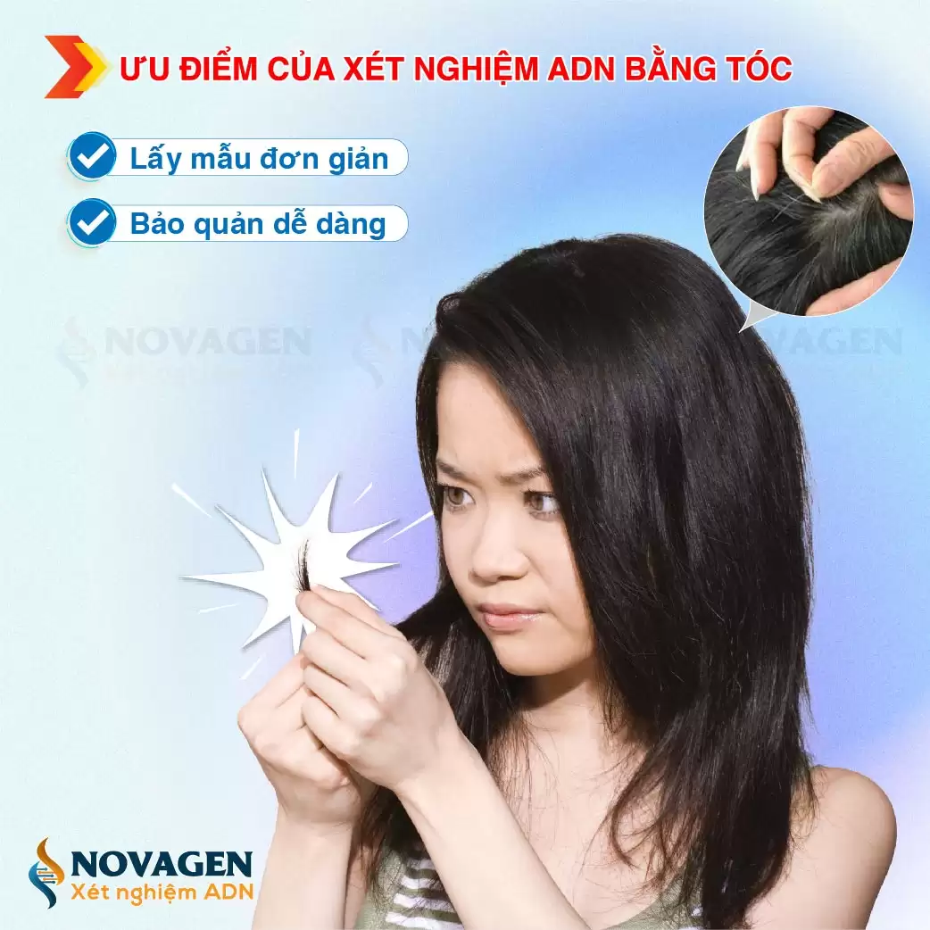 Xét Nghiệm ADN Bằng Tóc Bao Nhiêu Tiền