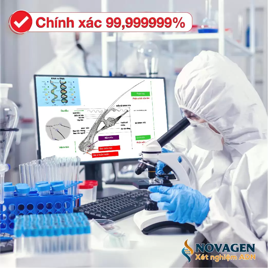 Xét Nghiệm ADN Bằng Tóc Bao Nhiêu Tiền