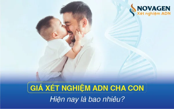 Bảng giá xét nghiệm ADN cha - con theo từng loại dịch vụ
