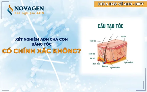 Giải đáp thắc mắc về mẫu, cách thu mẫu và chi phí xét nghiệm