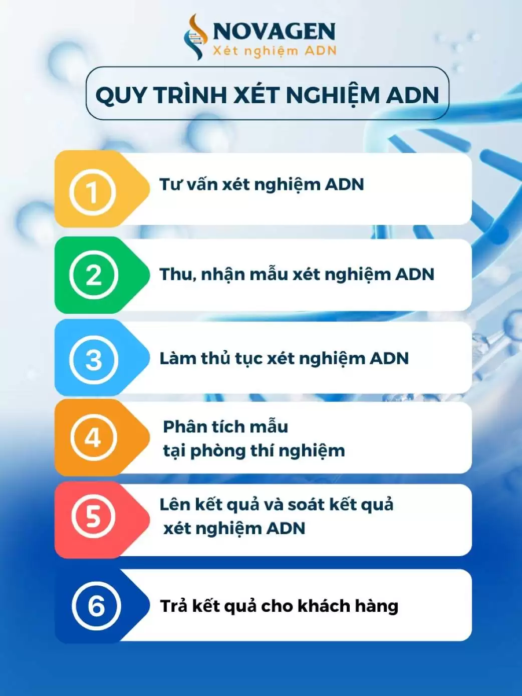Quy trình xét nghiệm ADN dì/bác gái - cháu gái/trai ruột Quy trình xét nghiệm ADN dì/bác gái - cháu gái/trai ruột