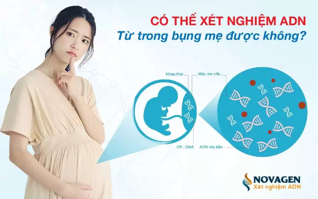Xét nghiệm ADN trong bụng mẹ được không?