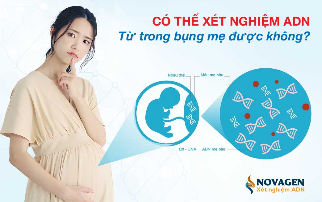 Xét nghiệm ADN từ trong bụng mẹ: Những điều cần biết cho cha mẹ tương lai