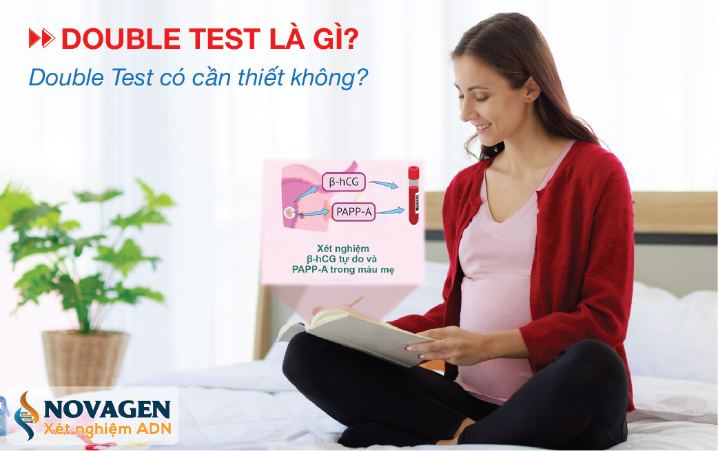 Double Test Là Gì? Xét Nghiệm Double Test Có Cần Thiết Không?