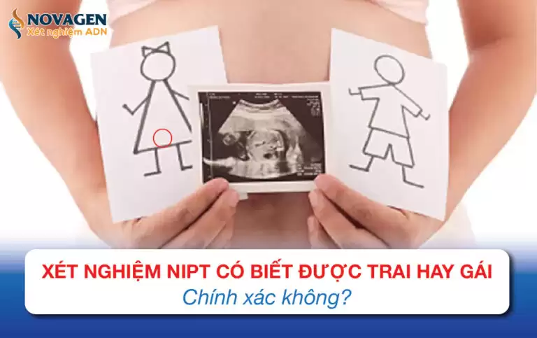 Xét Nghiệm NIPT Có Biết Được Trai Hay Gái Chính Xác Không?