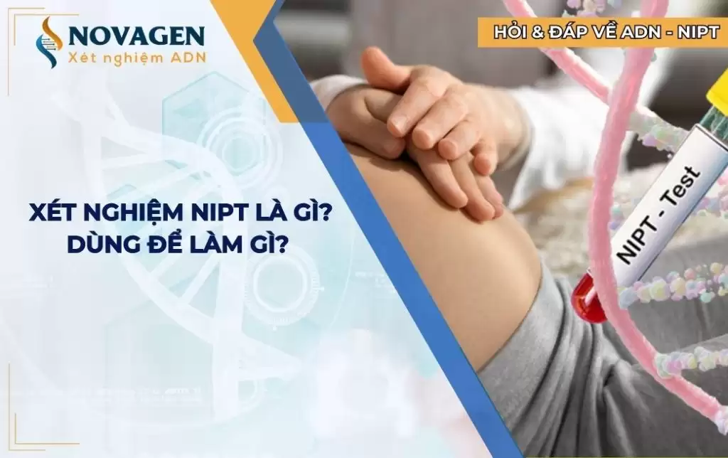 Xét nghiệm NIPT là gì? NIPT dùng để làm gì?
