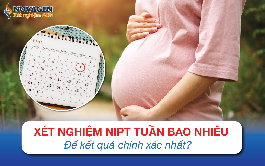 Xét Nghiệm NIPT Tuần Bao Nhiêu Để Kết Quả Chính Xác Nhất?