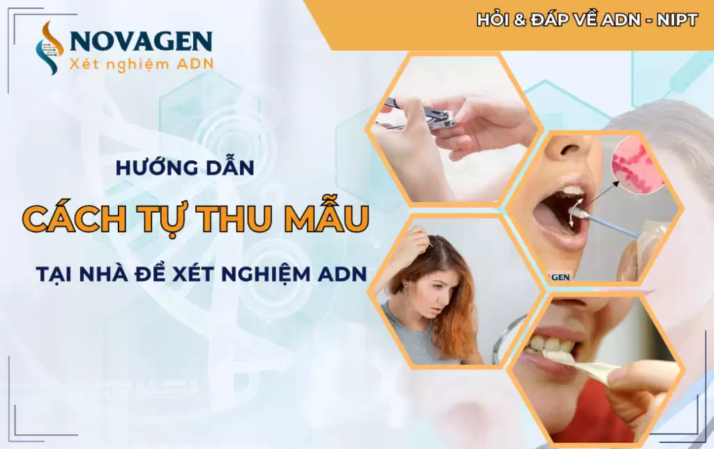 Hướng dẫn cách tự thu mẫu tại nhà để xét nghiệm ADN