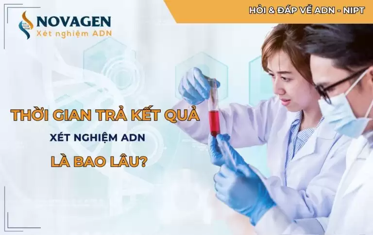 Thời gian trả kết quả xét nghiệm ADN là bao lâu?