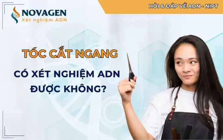 Tóc cắt ngang có xét nghiệm ADN được không?