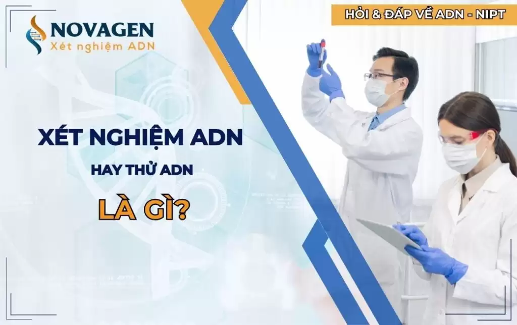 Xét nghiệm ADN là gì? Những câu hỏi quan trọng