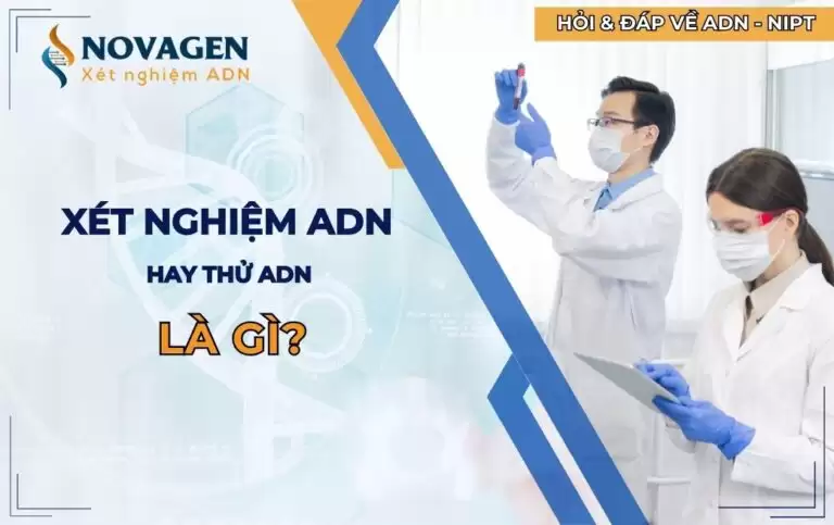 Xét nghiệm ADN là gì? Những câu hỏi quan trọng
