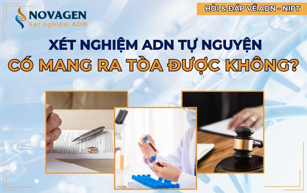 Xét nghiệm ADN tự nguyện có mang ra tòa được không?