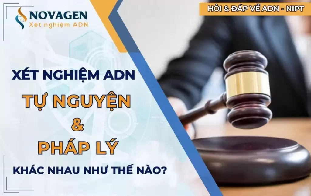 Xét nghiệm ADN tự nguyện với pháp lý khác nhau như thế nào?
