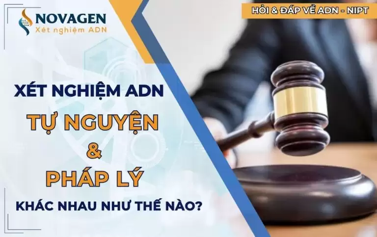 Xét nghiệm ADN tự nguyện với pháp lý khác nhau như thế nào?
