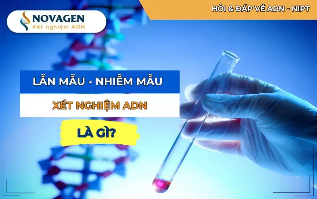 Lẫn mẫu, nhiễm mẫu xét nghiệm ADN là gì?