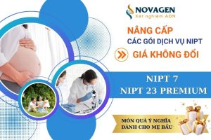 NOVAGEN NÂNG CẤP GÓI XÉT NGHIỆM NIPT 7 VÀ NIPT 23 PREMIUM – GIÁ KHÔNG ĐỔI