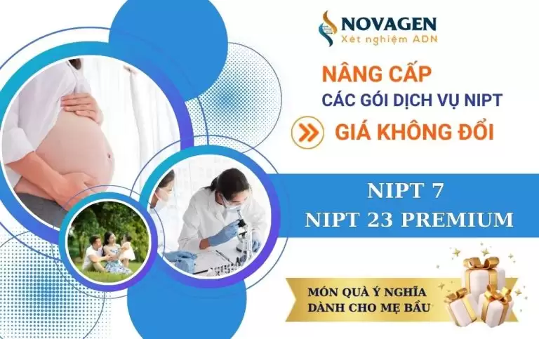 NOVAGEN NÂNG CẤP GÓI XÉT NGHIỆM NIPT 7 VÀ NIPT 23 PREMIUM – GIÁ KHÔNG ĐỔI