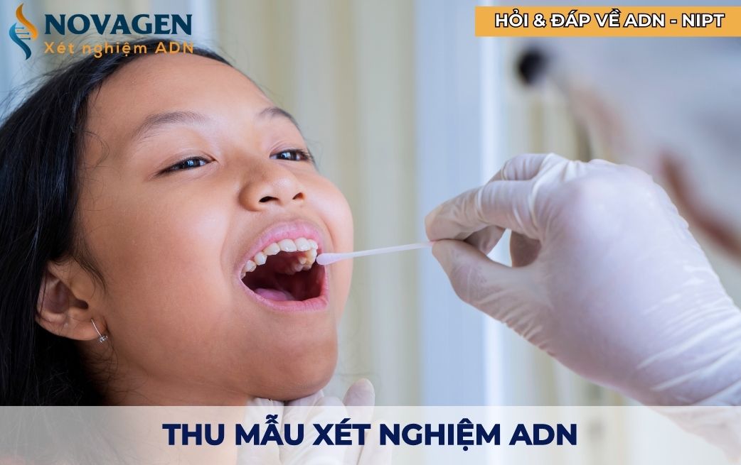 Tiến hành thu mẫu xét nghiệm ADN