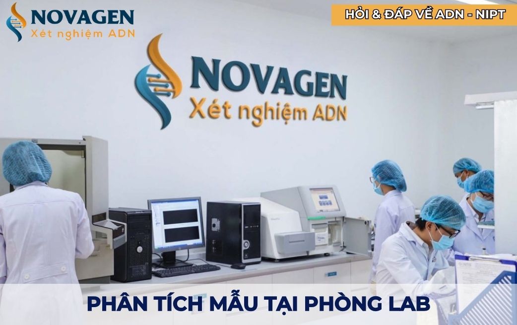 Tách chiết, phân tích mẫu tại phòng thí nghiệm