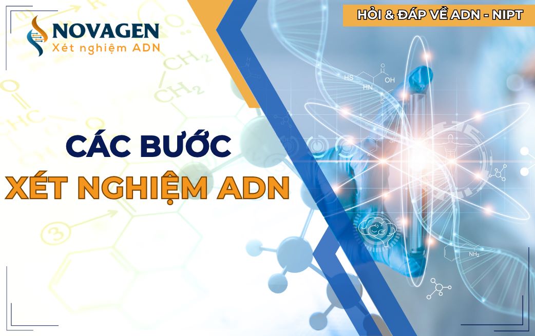 Các bước xét nghiệm ADN cần thực hiện