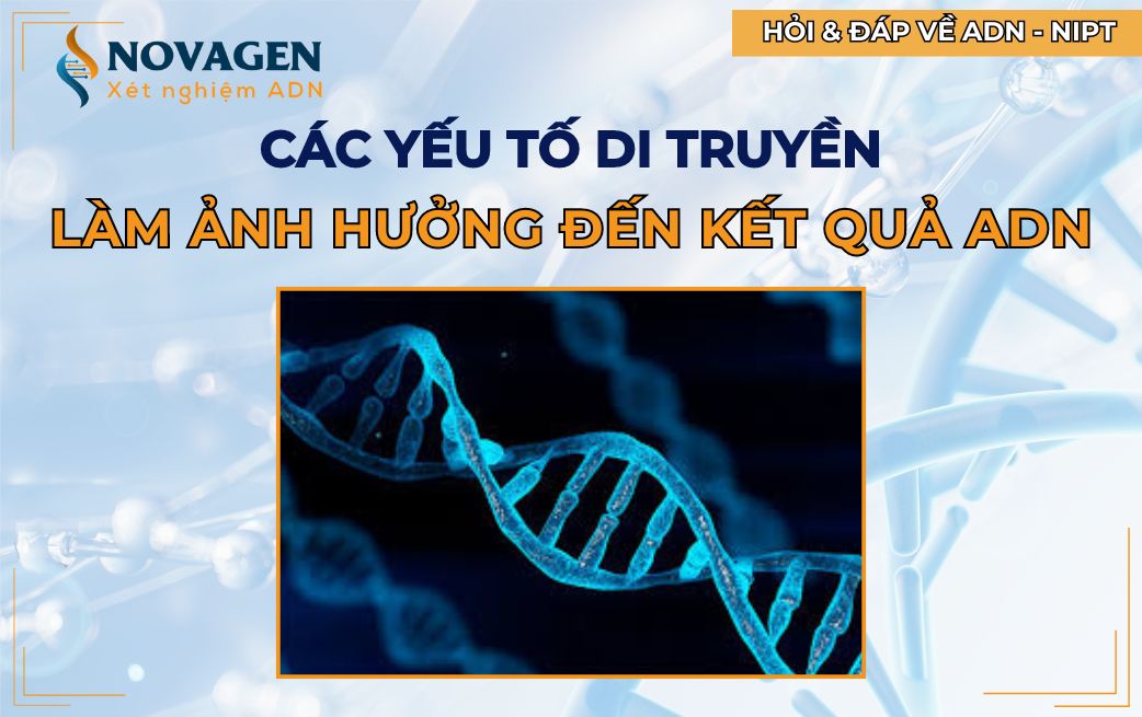 Các yếu tố di truyền đặc biệt ảnh hưởng đến kết quả ADN