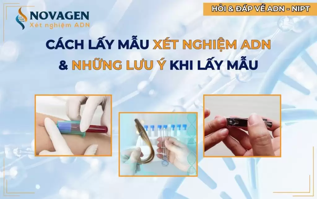 Cách lấy mẫu xét nghiệm ADN – Những lưu ý khi lấy mẫu ADN