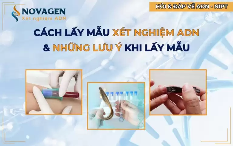 Cách lấy mẫu xét nghiệm ADN – Những lưu ý khi lấy mẫu ADN