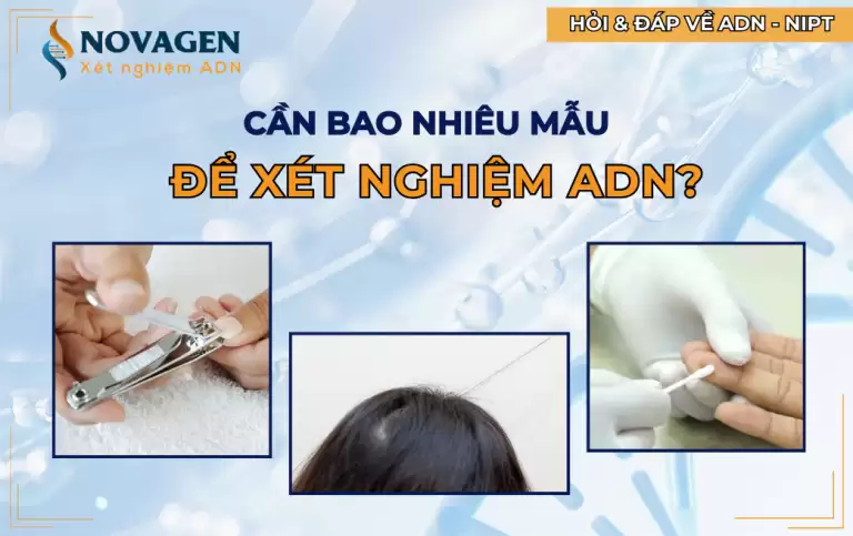 Cần bao nhiêu mẫu để thực hiện xét nghiệm ADN?