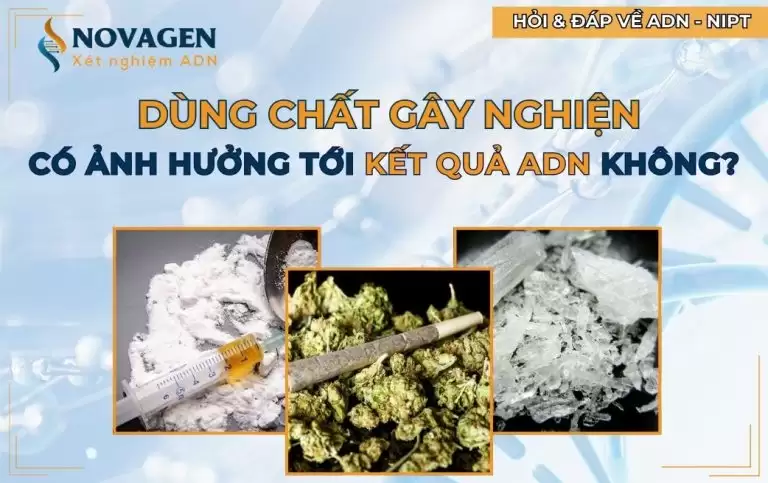 Dùng chất gây nghiện có ảnh hưởng tới kết quả xét nghiệm ADN không?