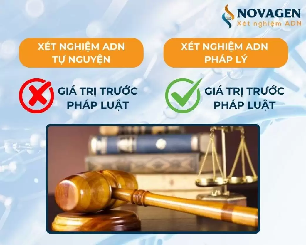 Chi phí trọn gói xét nghiệm ADN pháp lý đắt hơn xét nghiệm ADN tự nguyện