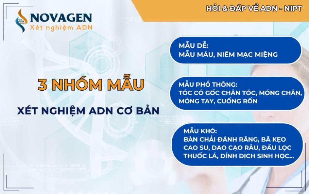 3 nhóm mẫu cơ bản được dùng để xét nghiệm ADN