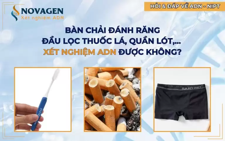 Bàn chải đánh răng, đầu lọc thuốc lá, quần lót,… có xét nghiệm ADN được không?