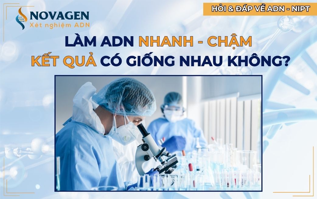 Làm ADN nhanh chậm kết quả có giống nhau không?