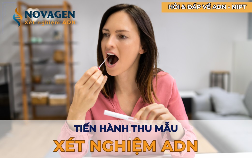 Tiến hành thu mẫu xét nghiệm ADN