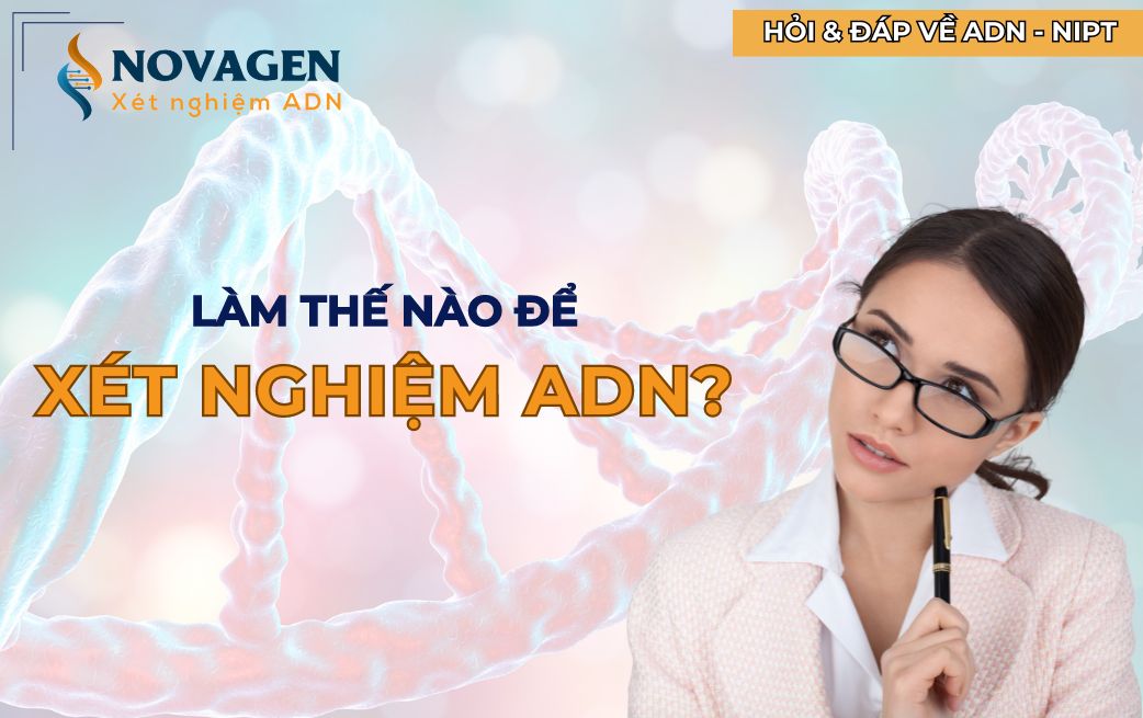 Làm thế nào để xét nghiệm ADN?