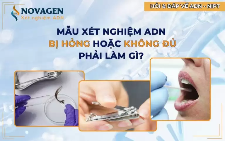 Nếu mẫu xét nghiệm ADN bị hỏng hoặc không đủ, phải làm sao?