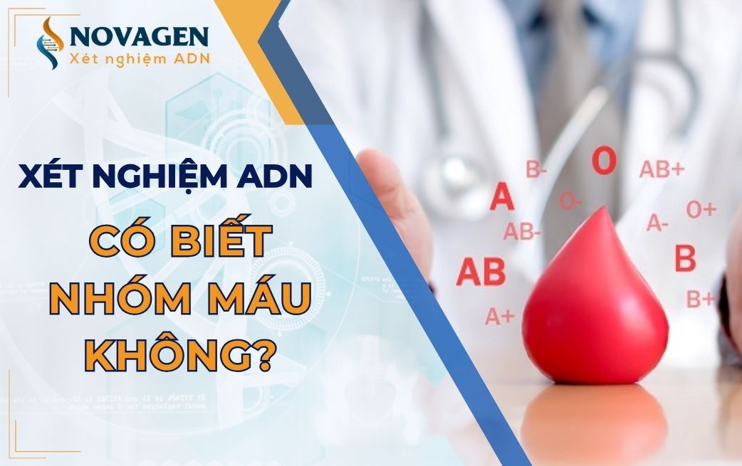 Xét nghiệm ADN có biết nhóm máu không?