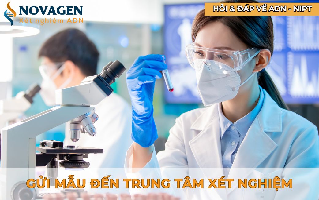 Gửi mẫu đến trung tâm xét nghiệm