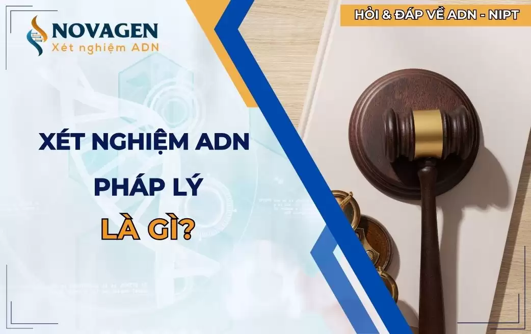 Xét nghiệm ADN pháp lý là gì?
