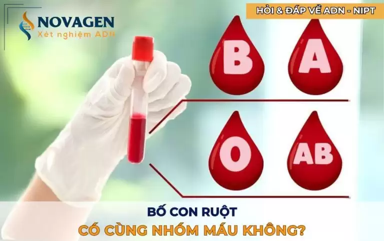 Bố con ruột có cùng nhóm máu không?