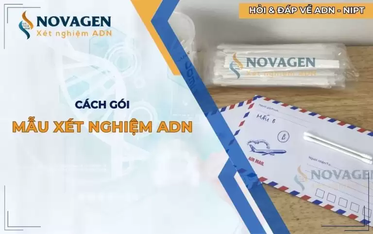 Cách gói mẫu xét nghiệm ADN để gửi và một số câu hỏi thường gặp