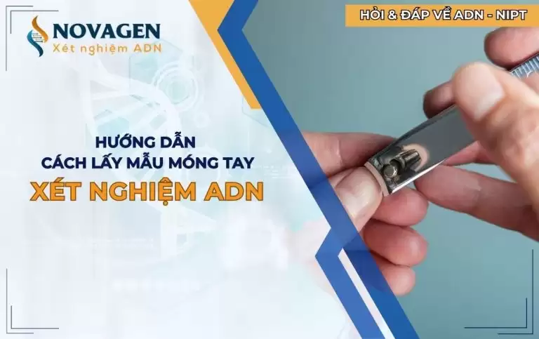 Hướng dẫn cách lấy mẫu móng tay để xét nghiệm ADN tại nhà